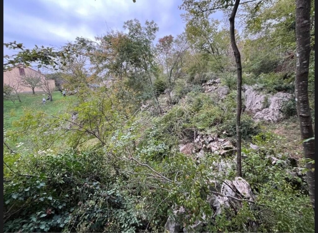 Image 6238304 - 8