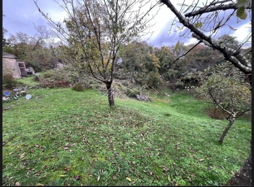 Image 6238304 - 3