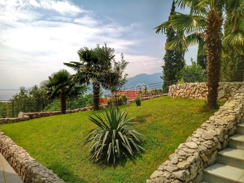 Image 6238369 - 6