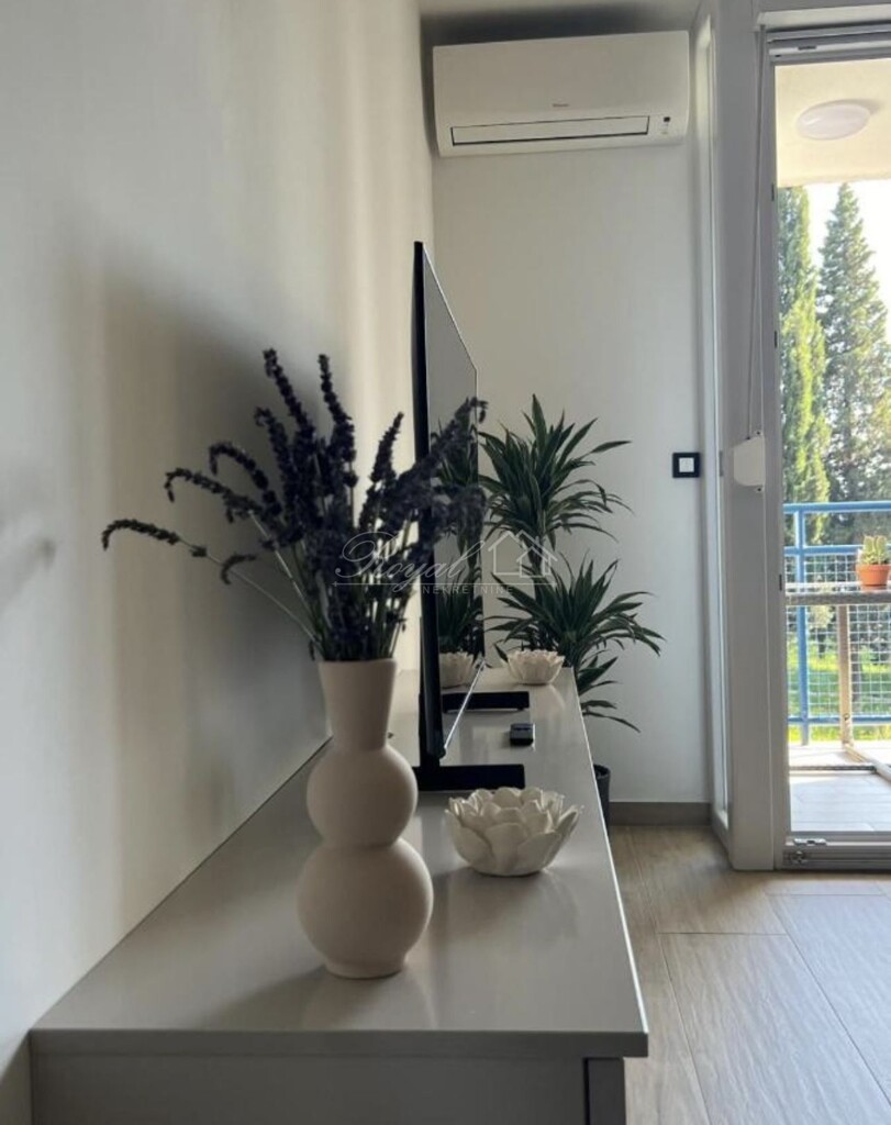 Image 6238413 - 4