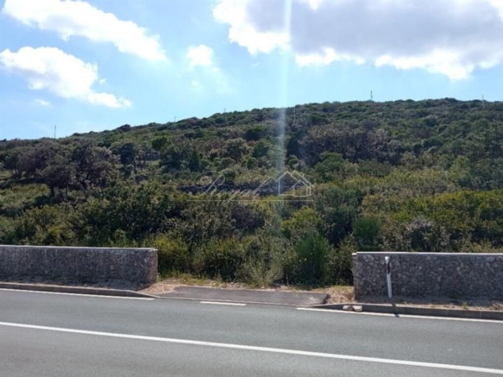 Image 6238431 - 2