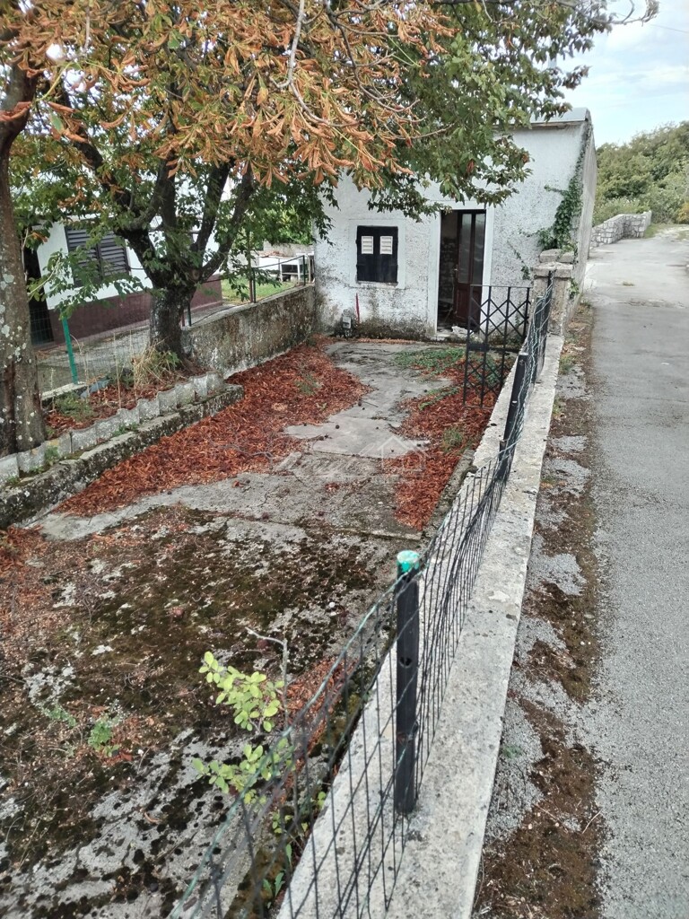 Image 6238462 - 3