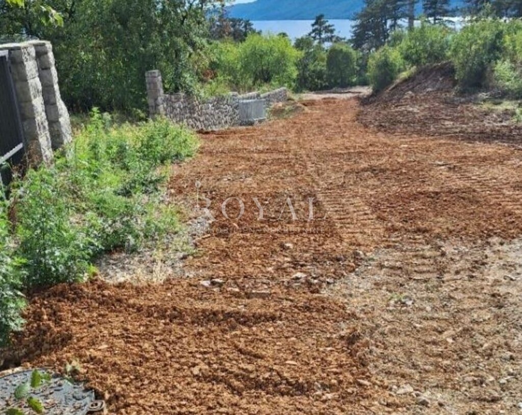 Image 6238477 - 1