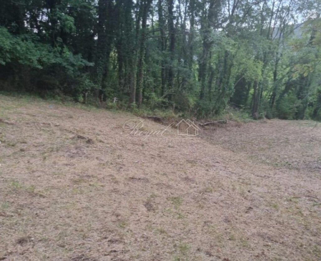 Image 6238514 - 5