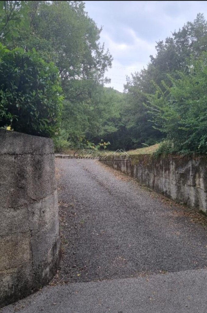 Image 6238514 - 8