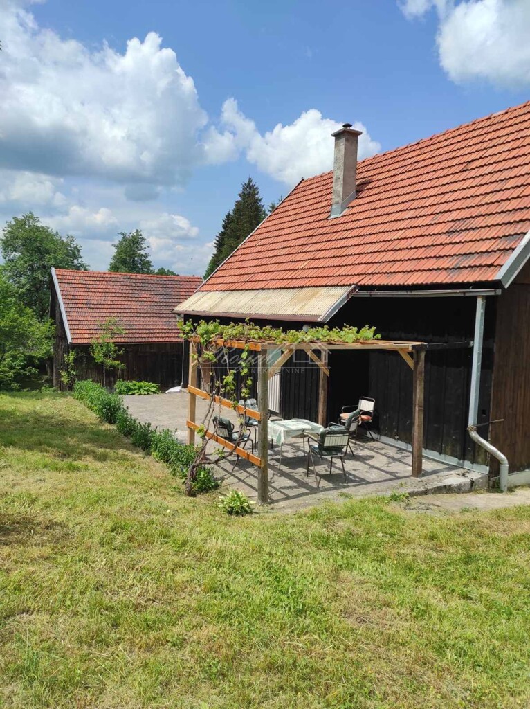 Image 6238525 - 1