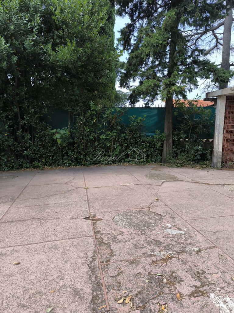 Image 6238539 - 1