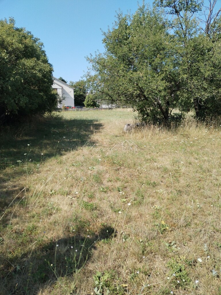 Image 6238566 - 5