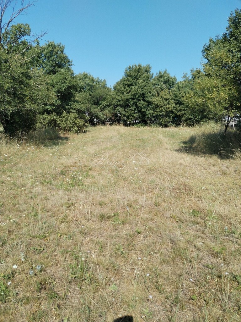 Image 6238566 - 7