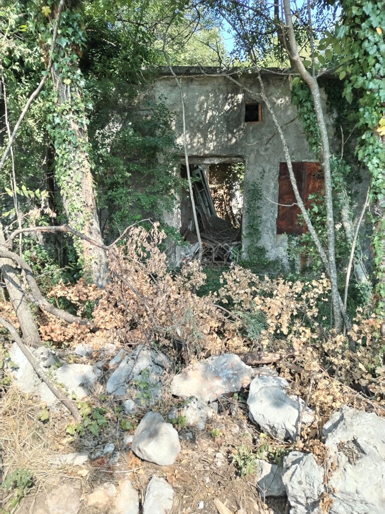 Image 6238566 - 4