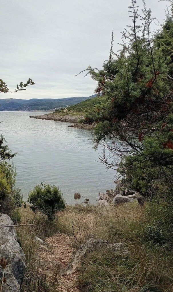 Image 6238568 - 6