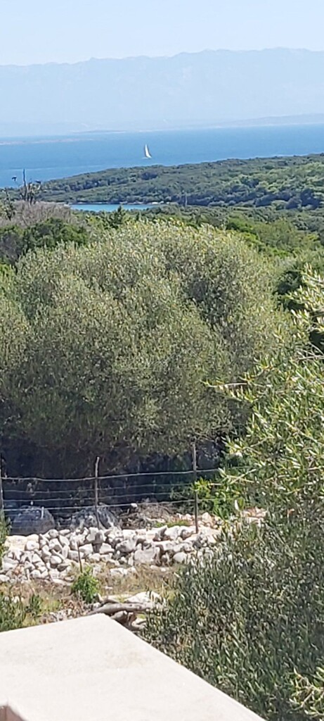 Image 6238660 - 9