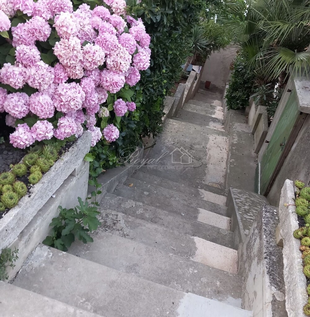 Image 6238664 - 3
