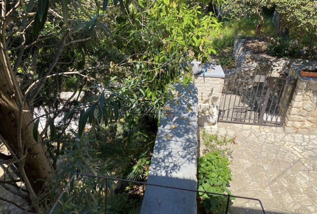 Image 6238668 - 15