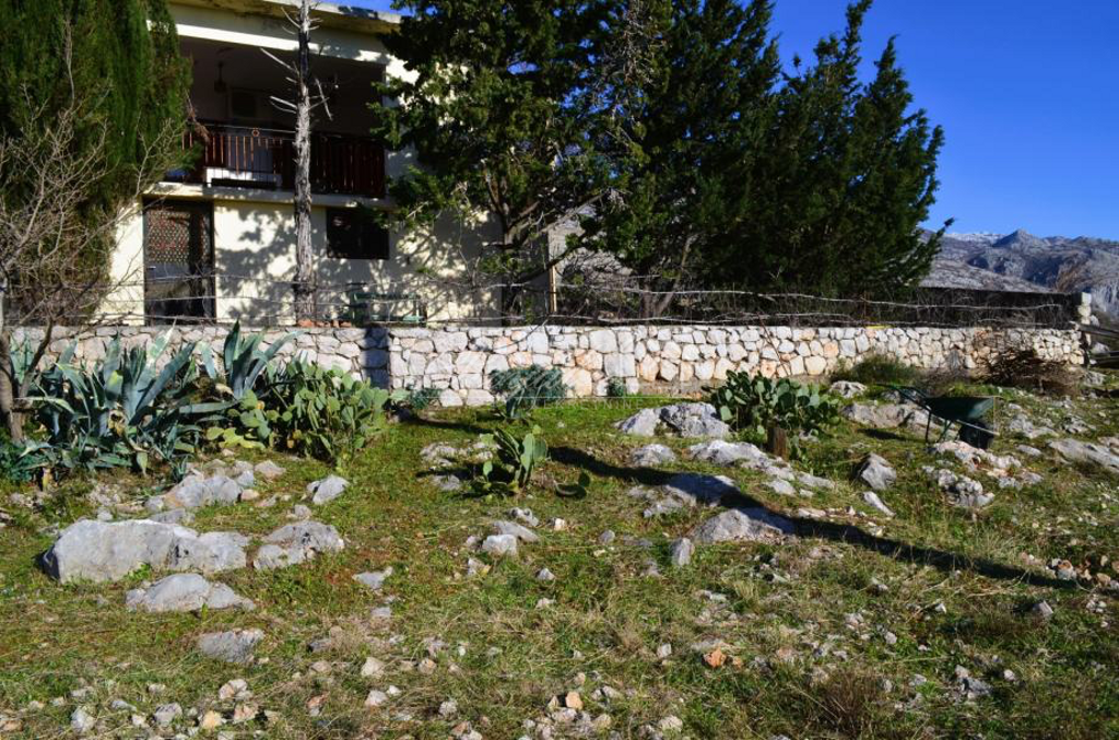 Image 6238706 - 8