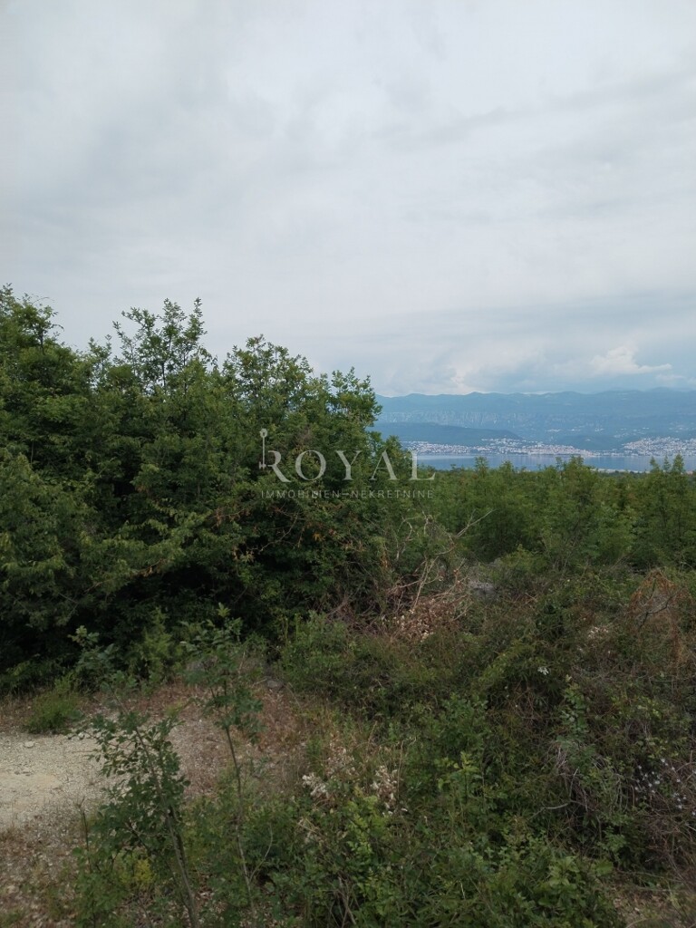 Image 6238716 - 2