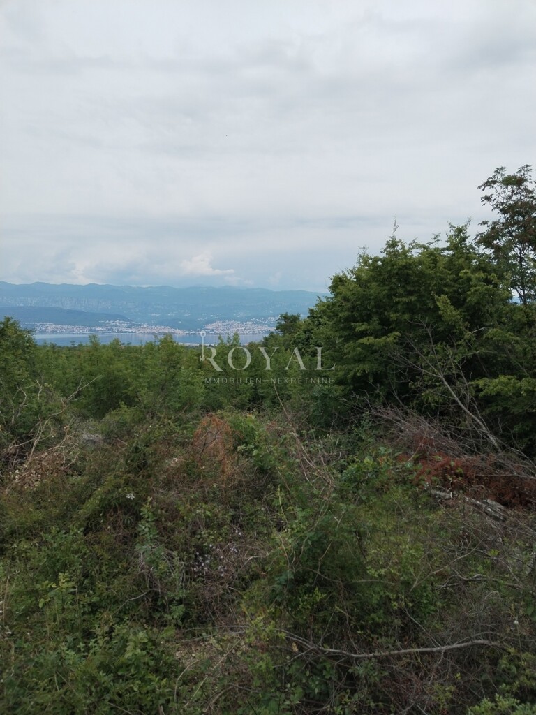 Image 6238716 - 1