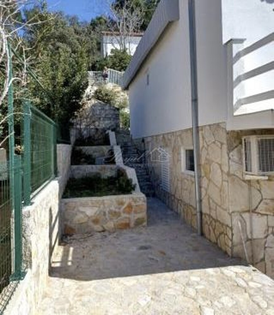 Image 6238723 - 3