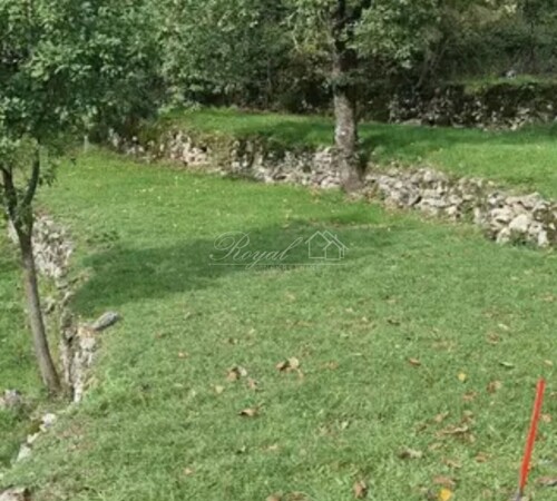 Thumbnail 6238736 - 4