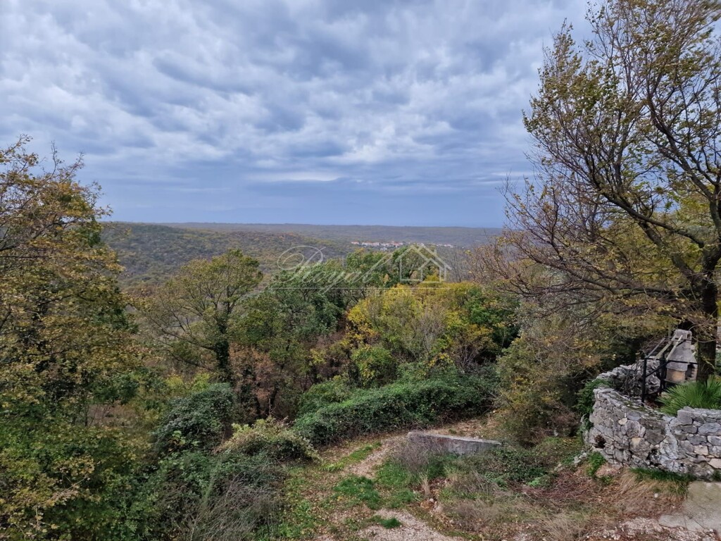 Image 6238975 - 5