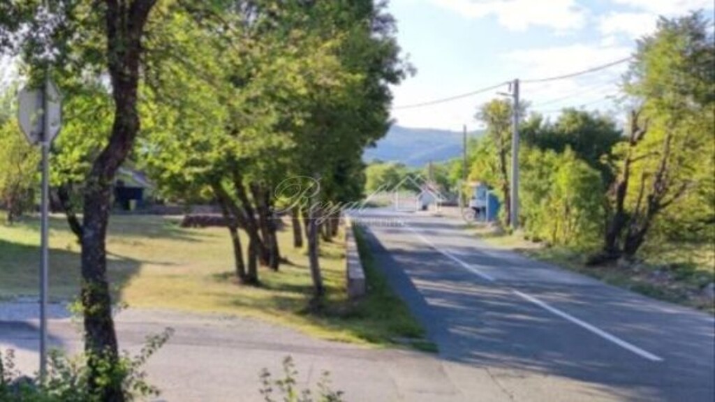 Image 6239008 - 1