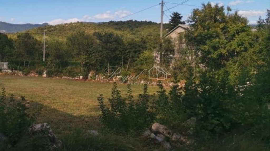 Image 6239008 - 5