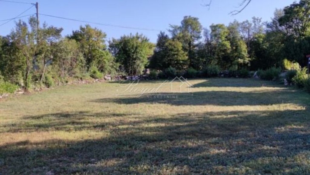 Image 6239008 - 6