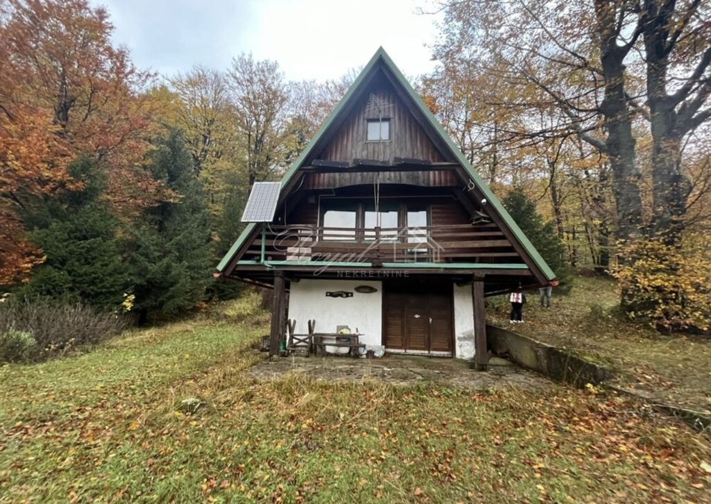 Image 6239030 - 1