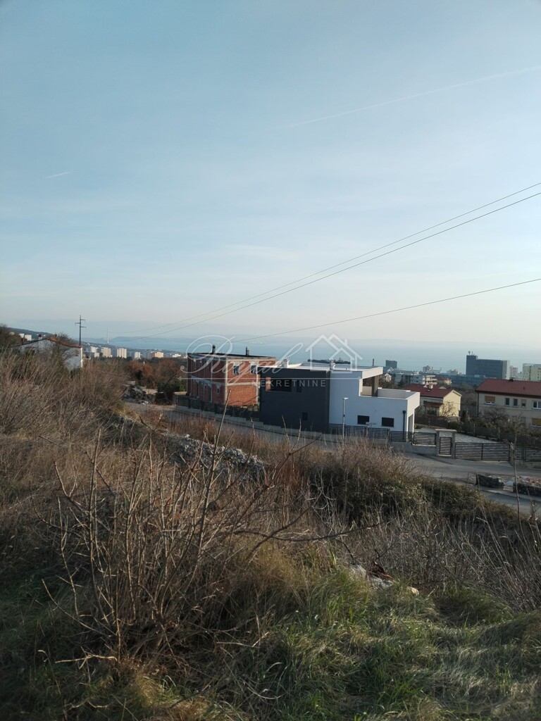 Image 6239039 - 2