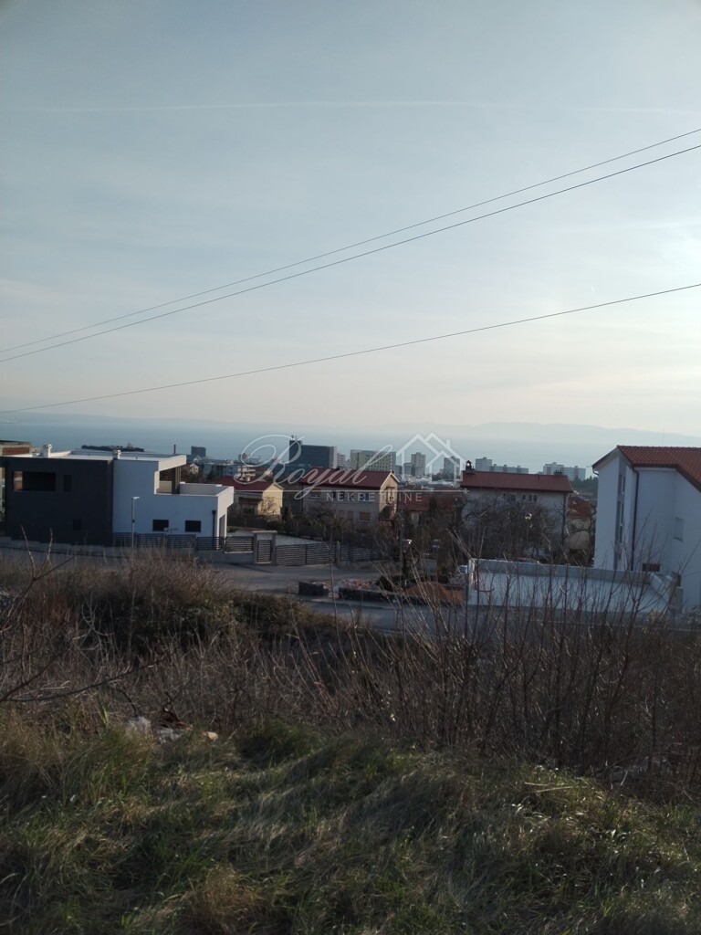 Image 6239039 - 1