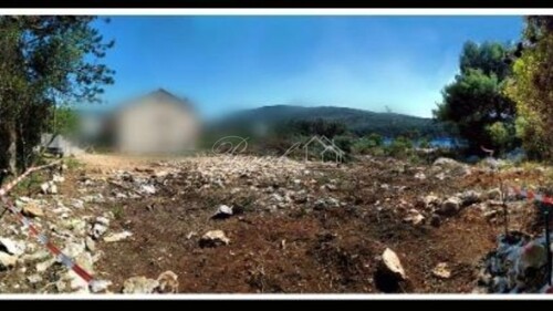 Thumbnail 6239053 - 5