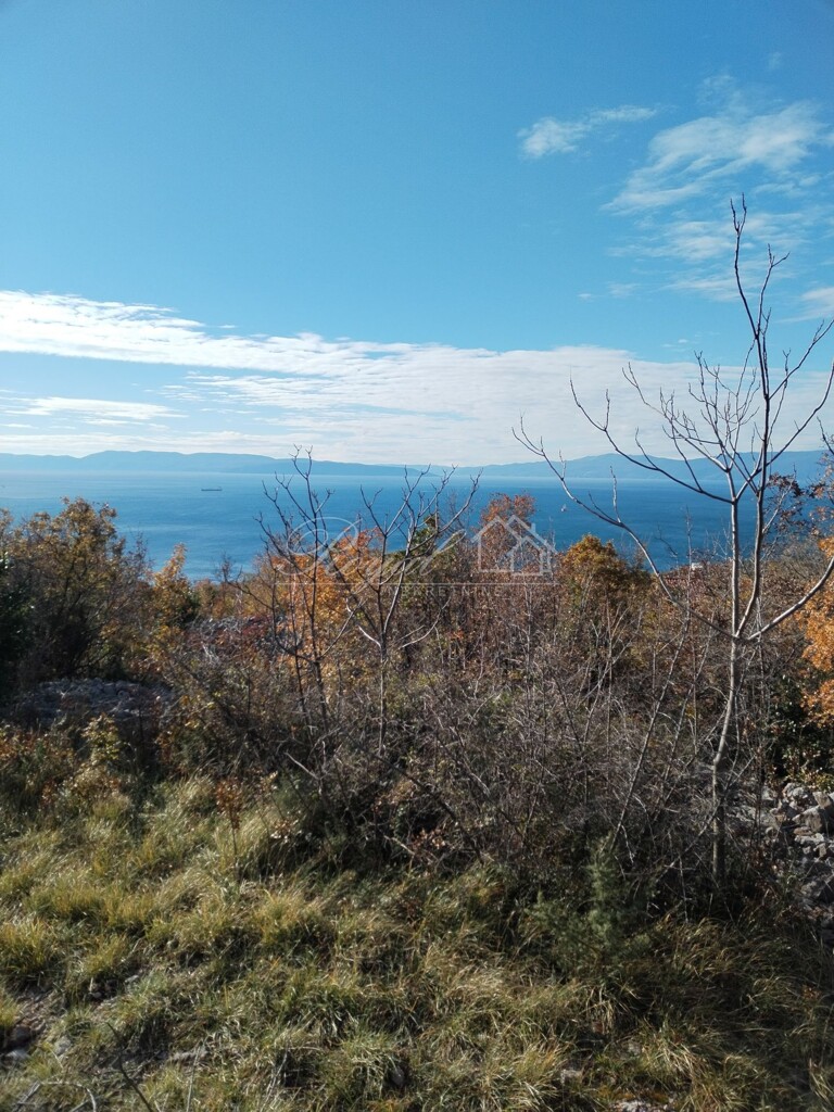 Image 6239062 - 1