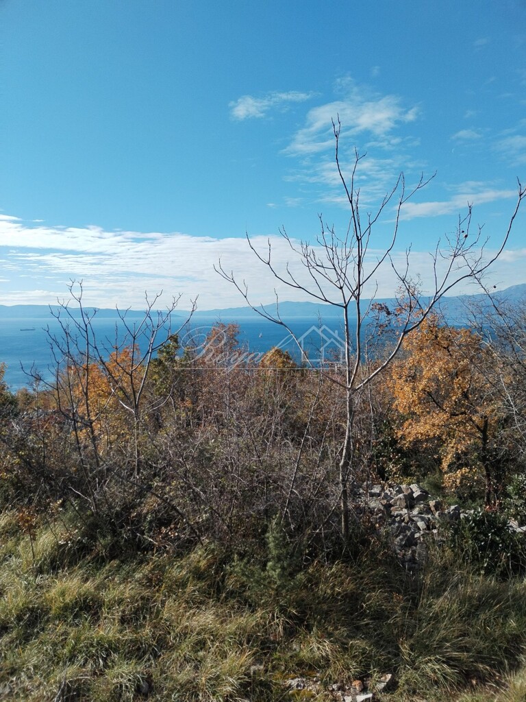 Image 6239073 - 1