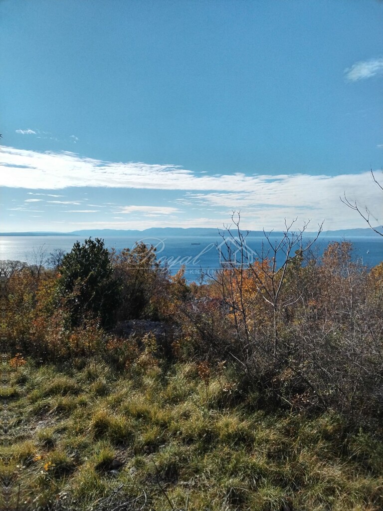 Image 6239073 - 3