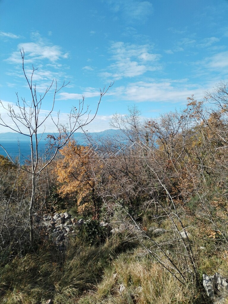 Image 6239073 - 5