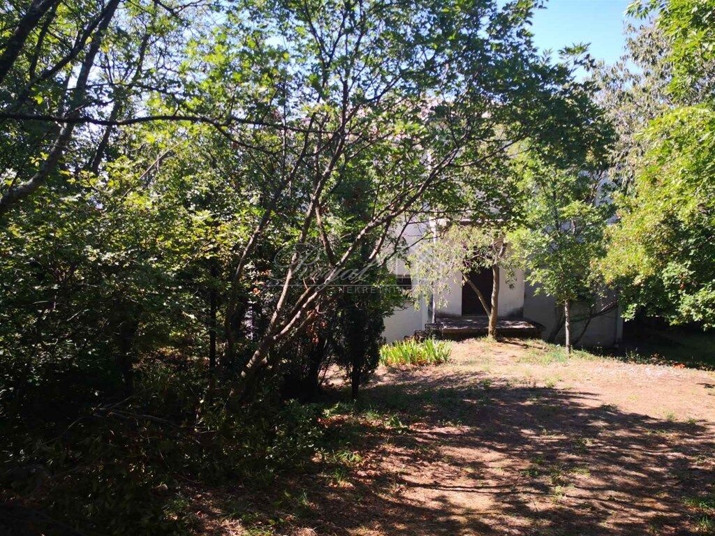 Image 6239081 - 5