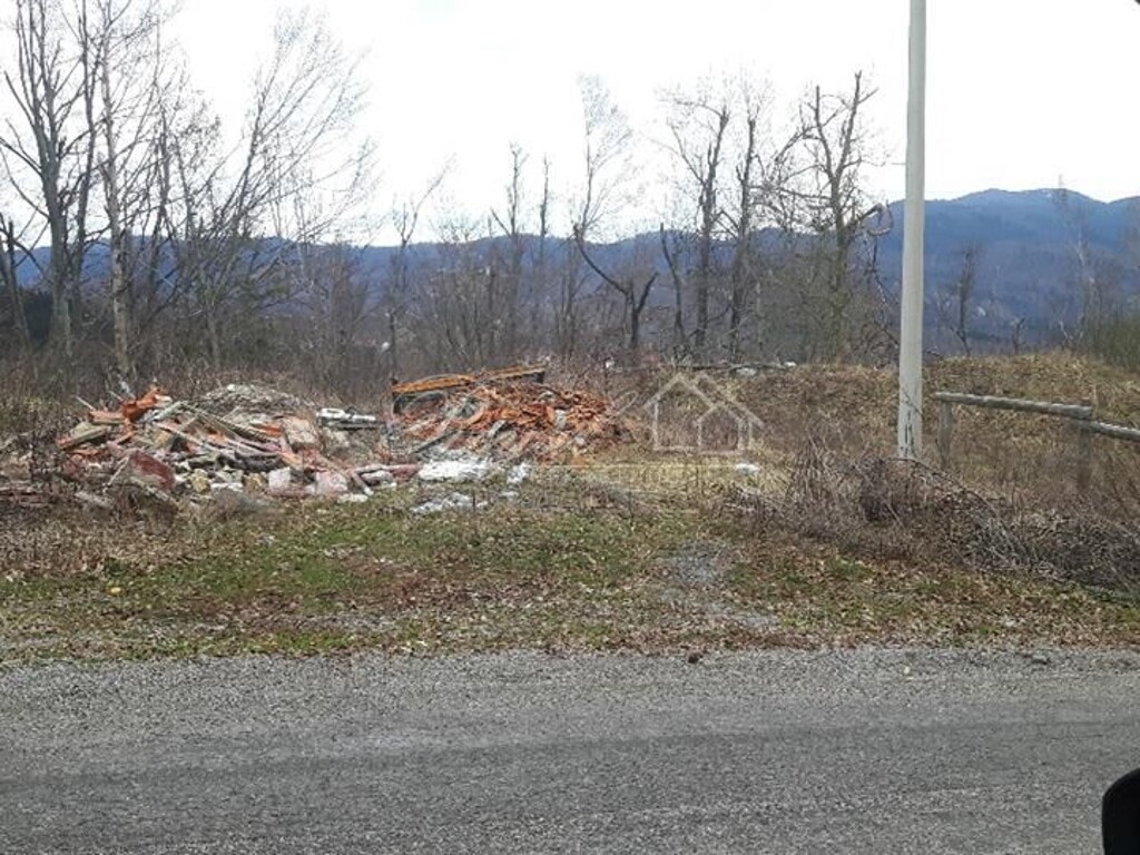 Image 6239294 - 1