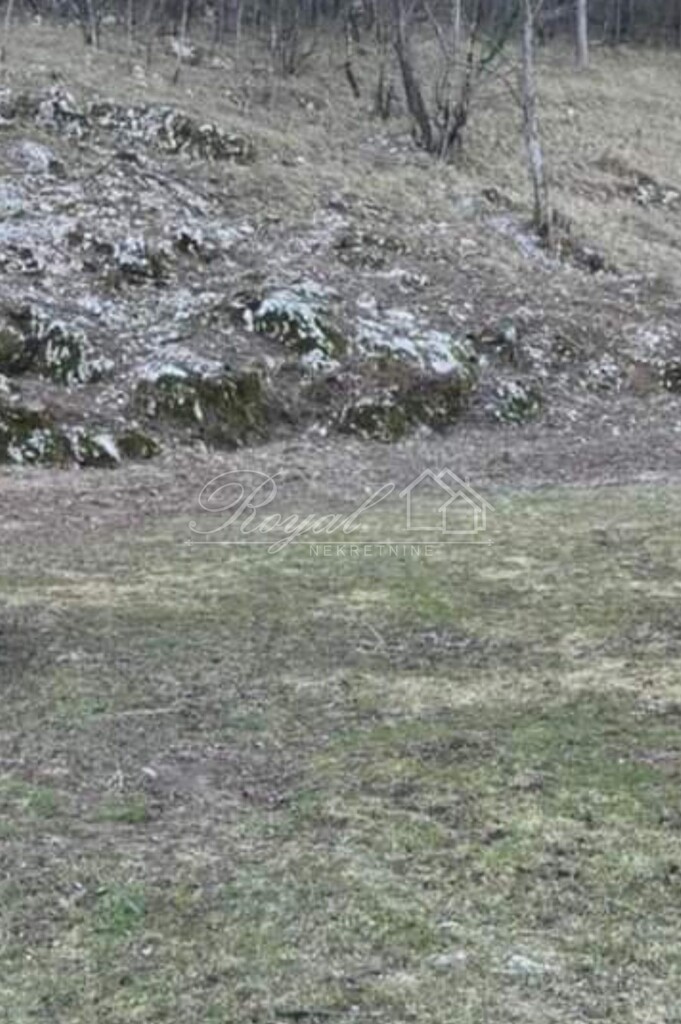 Image 6239329 - 2