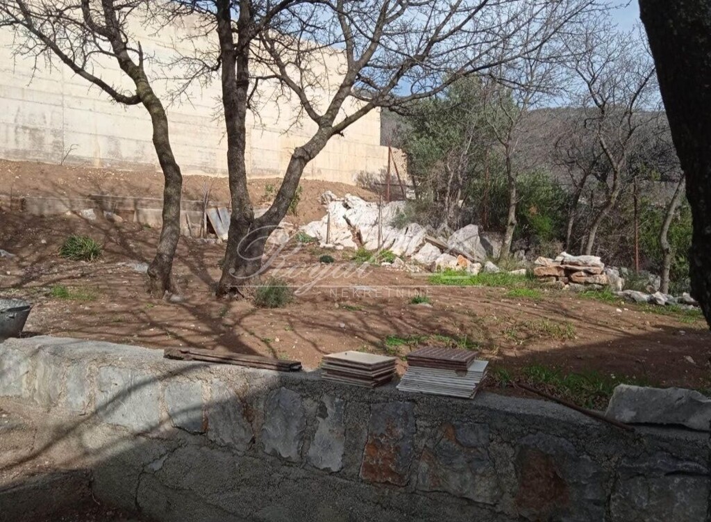 Image 6239336 - 7
