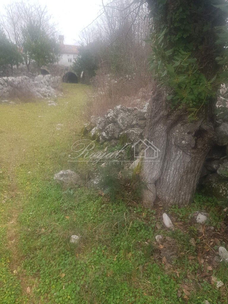 Image 6239375 - 4