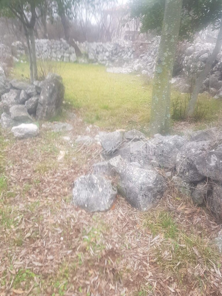 Image 6239375 - 3