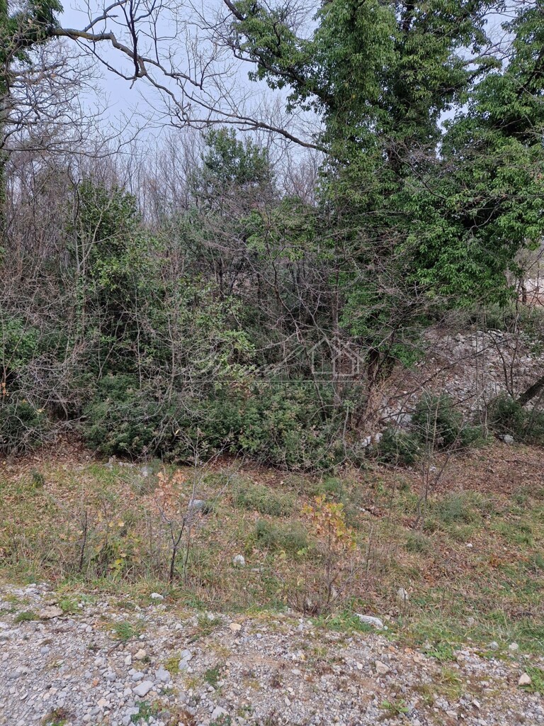 Image 6239378 - 1