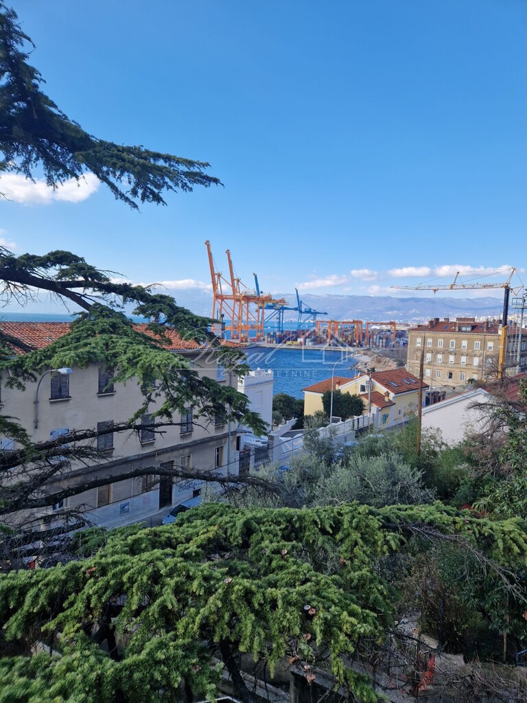 Image 6239394 - 1
