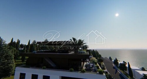 Thumbnail 6239404 - 4