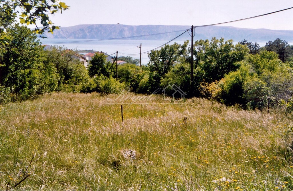 Image 6239416 - 1