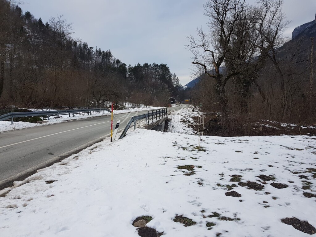 Image 6239427 - 4