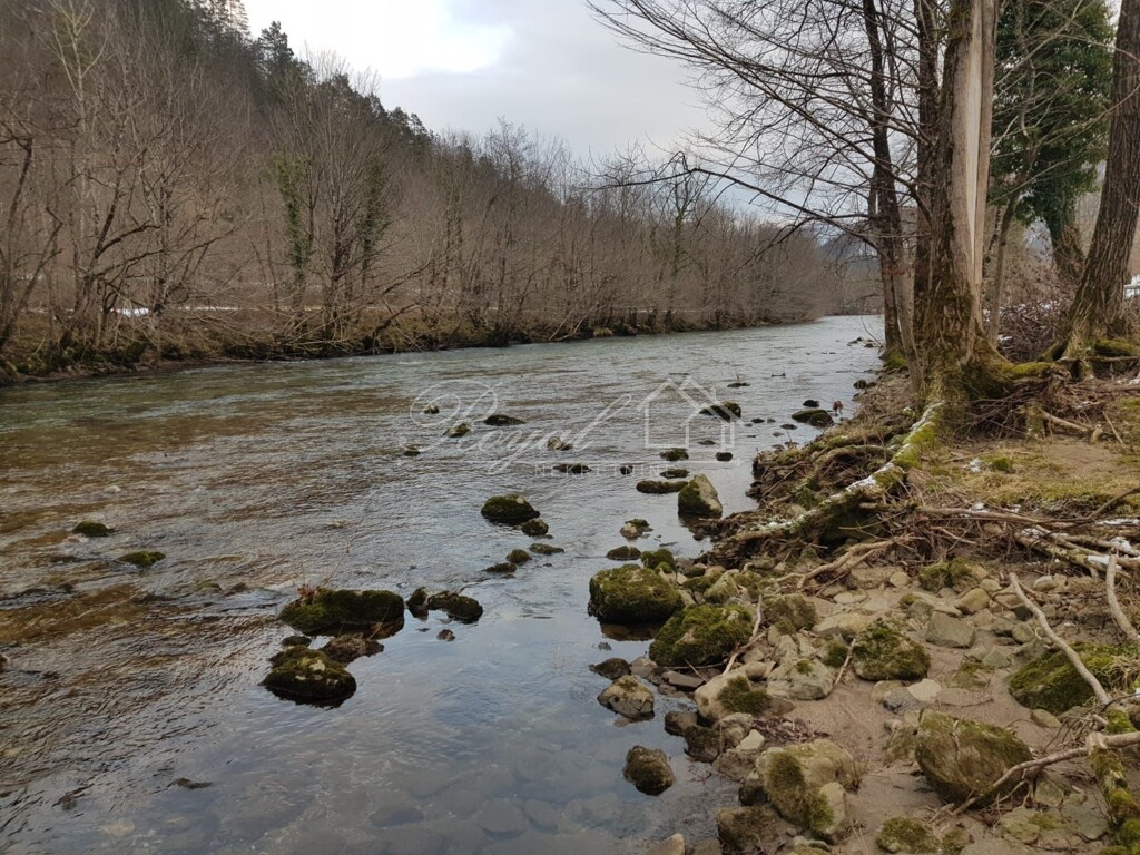 Image 6239427 - 2