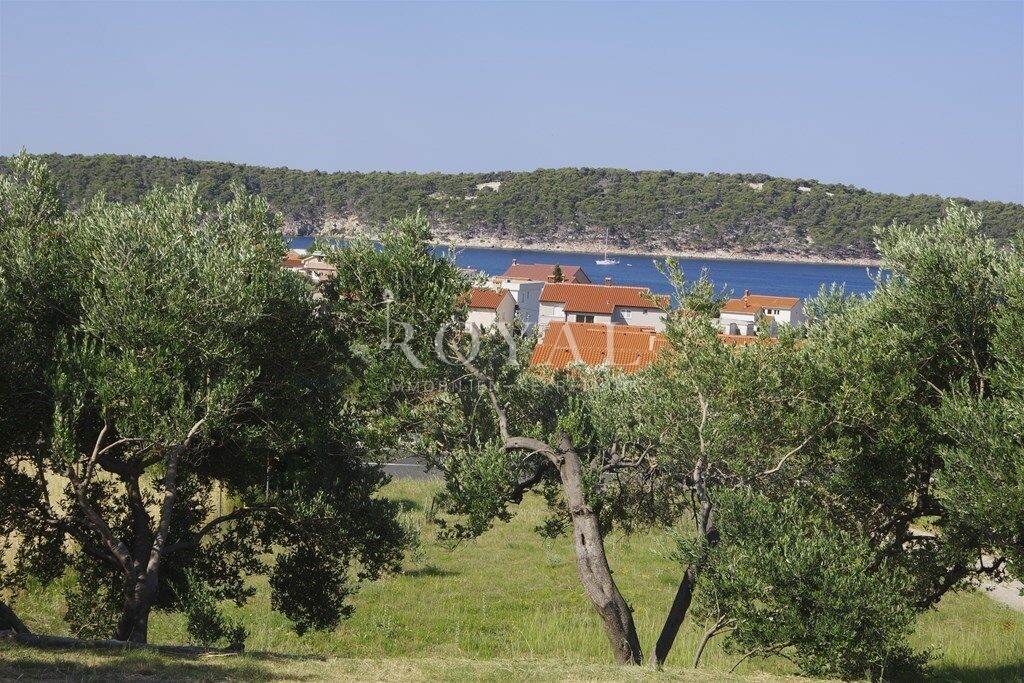 Image 6239452 - 3