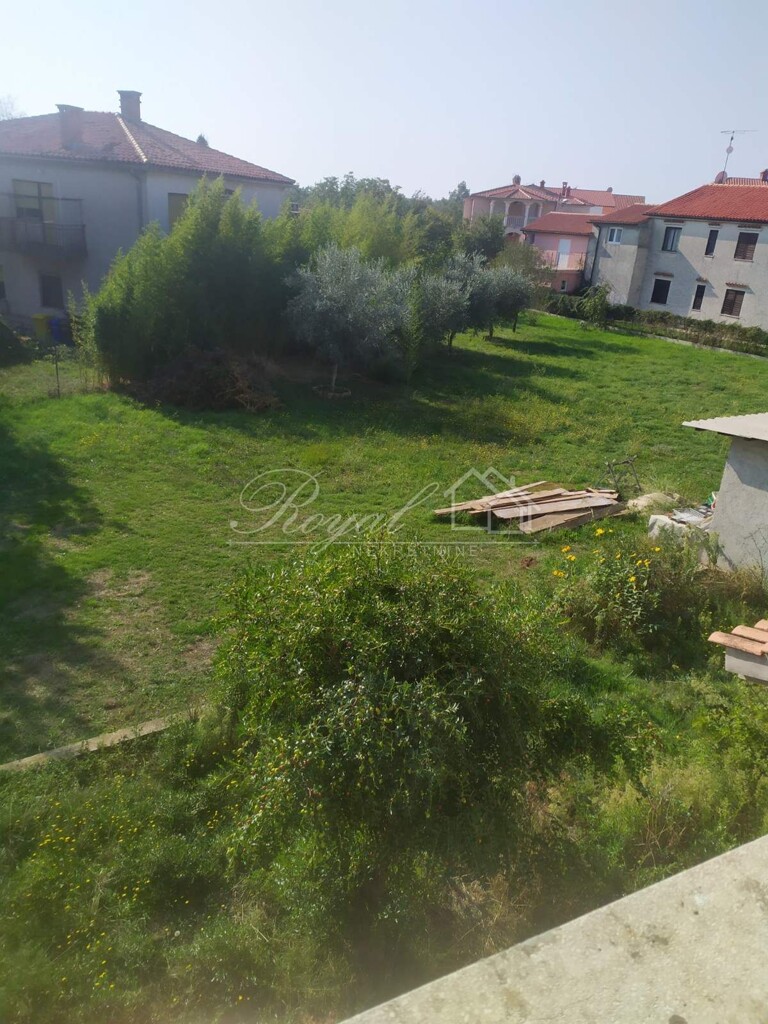 Image 6239463 - 5