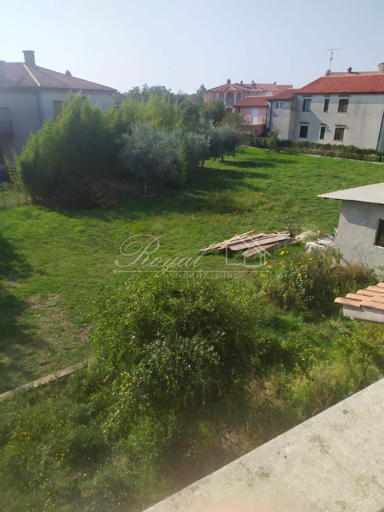 Image 6239463 - 3
